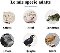 Food for Hamsters, Hedgehogs, Lizards, Frogs, Birds, Hedgehogs, Snacks, Nutritious, high Protein, Cooked breadworms, Small Animal Food