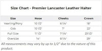 Dura-Tech Premier Lancaster Leather Halter for Horses | Simple Economy Leather Halter with Adjustable Fit & Solid Brass Hardware