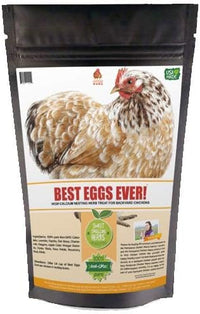 Pampered Chicken Mama Best Eggs Ever! Nesting Herbs for Chickens (4 Pounds) Calcium Supplement for Chickens | Chicken Feed Supplies, Hen Treats for Coops