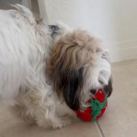 Puppy and Small Breed Snuffle Interactive Foraging Dog Puzzle Ball Toy Christmas Green and Red