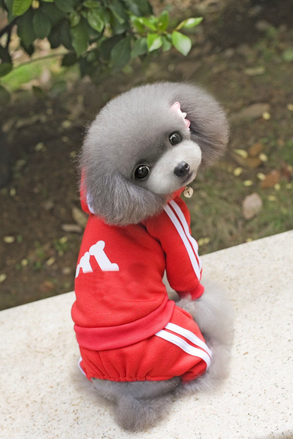 Pet Dog Jumpsuit for Small Medium Dogs - BIG FRENCHIES