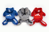 Pet Dog Jumpsuit for Small Medium Dogs - BIG FRENCHIES