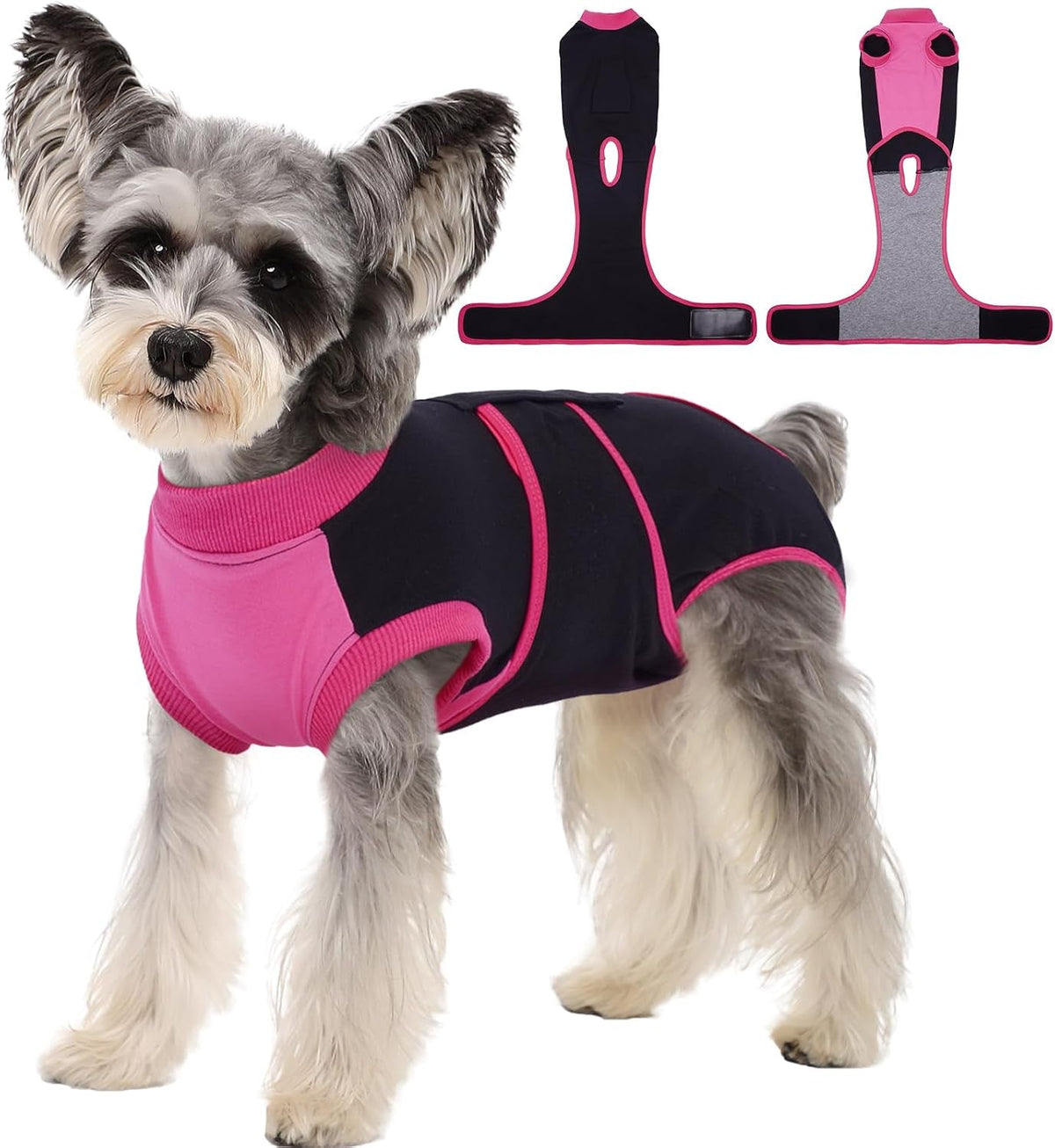 Female Dog Recovery Suit After Spay, XS–2XL
