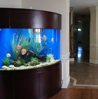 400 Gallon Glass Corner Reef-Ready Aquarium Tank Wood Stand Canopy in Rose Cherry