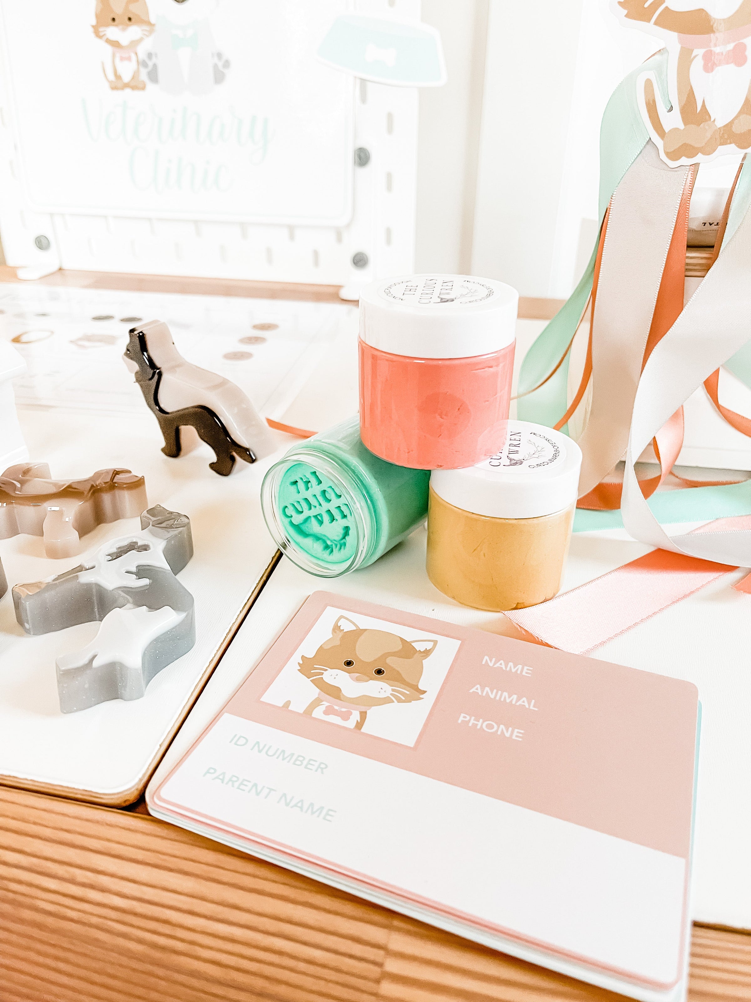 Vet Clinic Dramatic Play