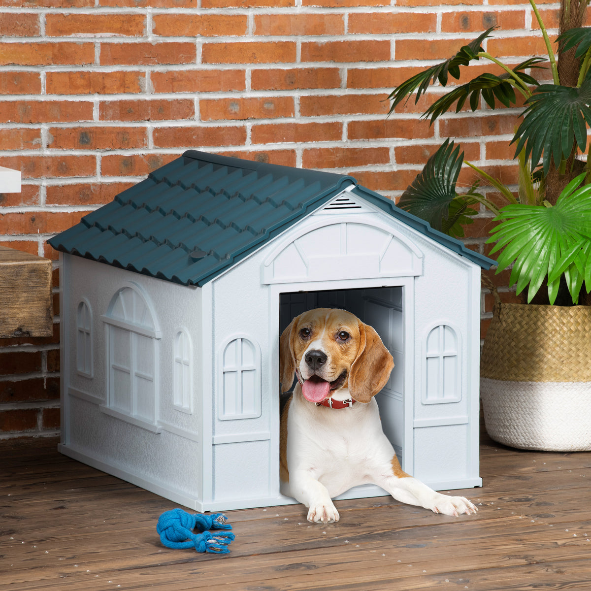 Plastic Dog House for Medium and Small Dogs, Water Resistant Puppy Shelter Indoor Outdoor with Door, Easy to Assemble, B