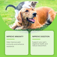 Pet Probiotics & Vitamin Tablets For Dogs & Cats, Gut Health Supplement, Support Digestion & Immune System, 80 Chewable 