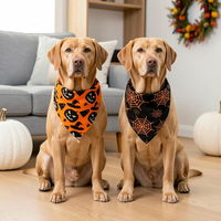 Dog Bandanas 2PCS Halloween Pumpkin Spider Web Large Dogs