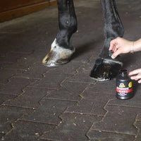 Absorbine SuperShine Hoof High Gloss Polish Shine and Sealer 8 oz.