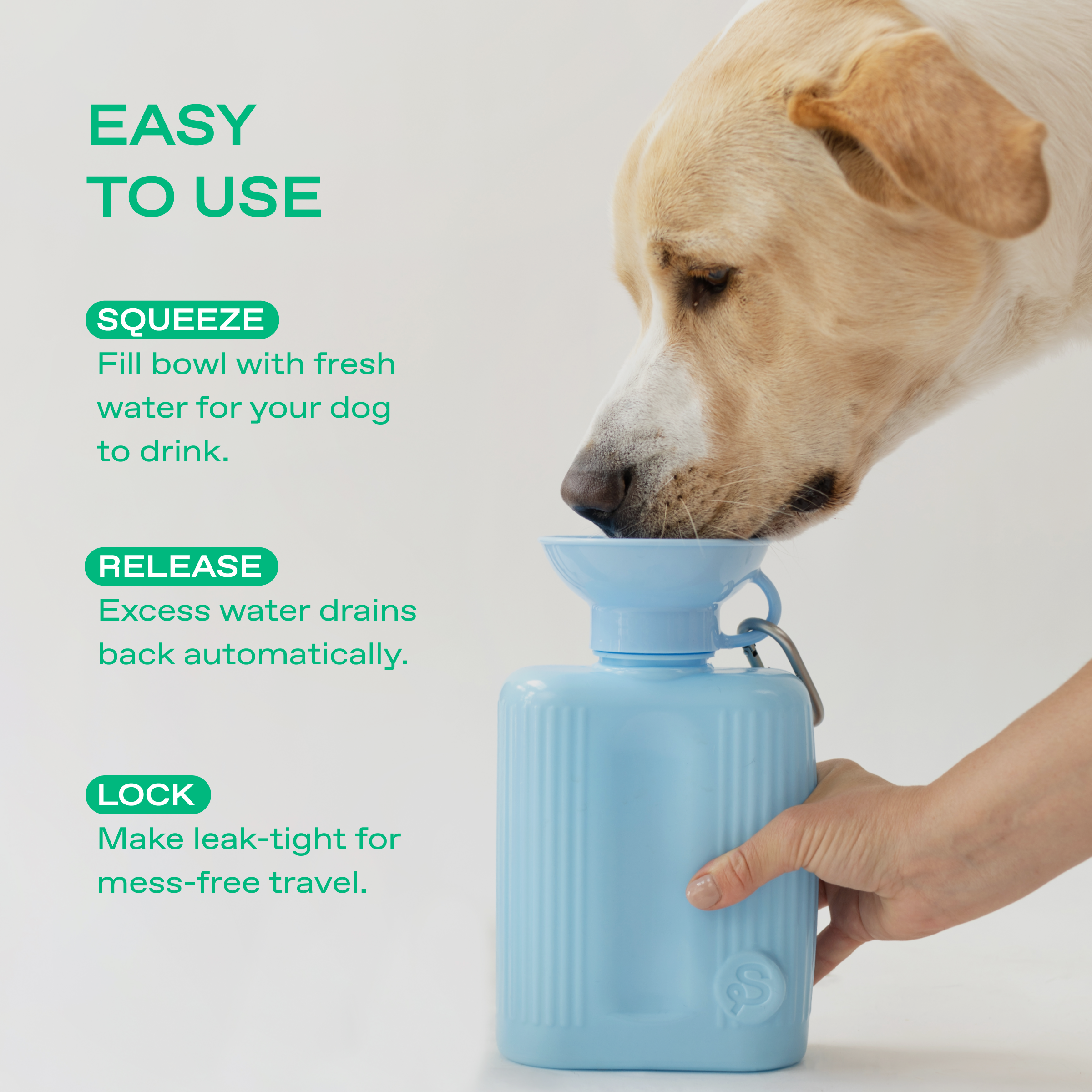 44oz Original Dog Travel Water Bottle - BIG FRENCHIES