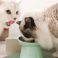 Tilted Cat Food Bowl Elevated Cat Bowl Ergonomic Raised Cat Food Bowl Anti Vomiting Plastic Feeding Bowl Non Slip For Cats Dogs