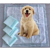Mr. Peanut’s Premium Absorbent Gel Pee Pads 23"X23", 6 Layers of Lightly Scented Protection - BIG FRENCHIES