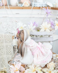 Luxury design dog dress vintage lace
