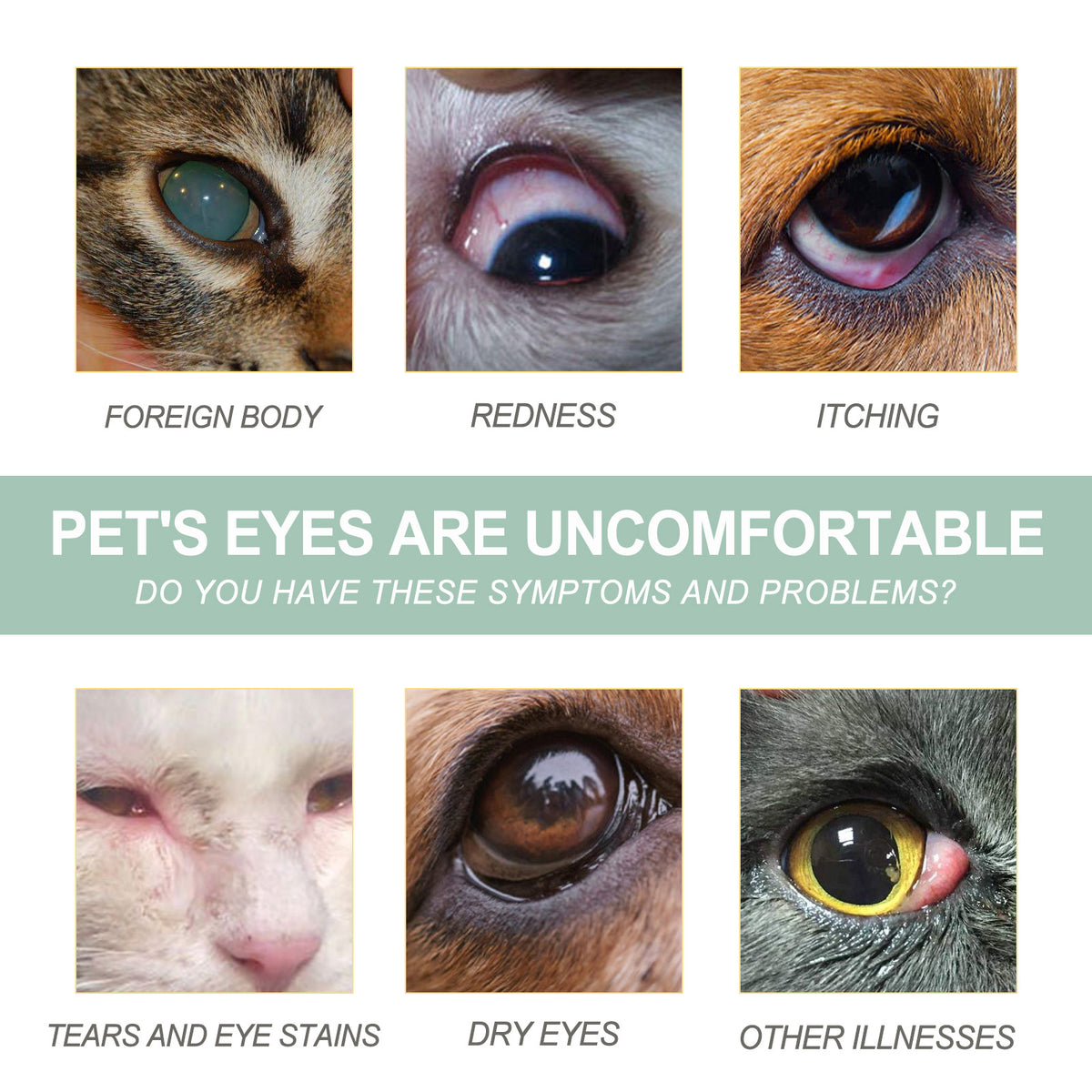 Pet Eye Drops For Dogs & Cats, Gentle Eye Cleaner With Honeysuckle Oil & Blueberry Extract, Soothes Irritation, Tear Sta
