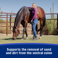 Farnam SandClear Psyllium Crumbles for Horses Digestive Support Sand Colic Risk 10 lbs.