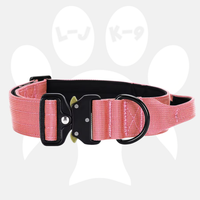 Luxury Sleek Padded Dog Collar