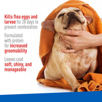Keep Your Dog Happy and Flea-Free with ADAMS Plus Flea & Tick Foaming Shampoo & Wash - 2 Pack for Sensitive Skin! - BIG FRENCHIES
