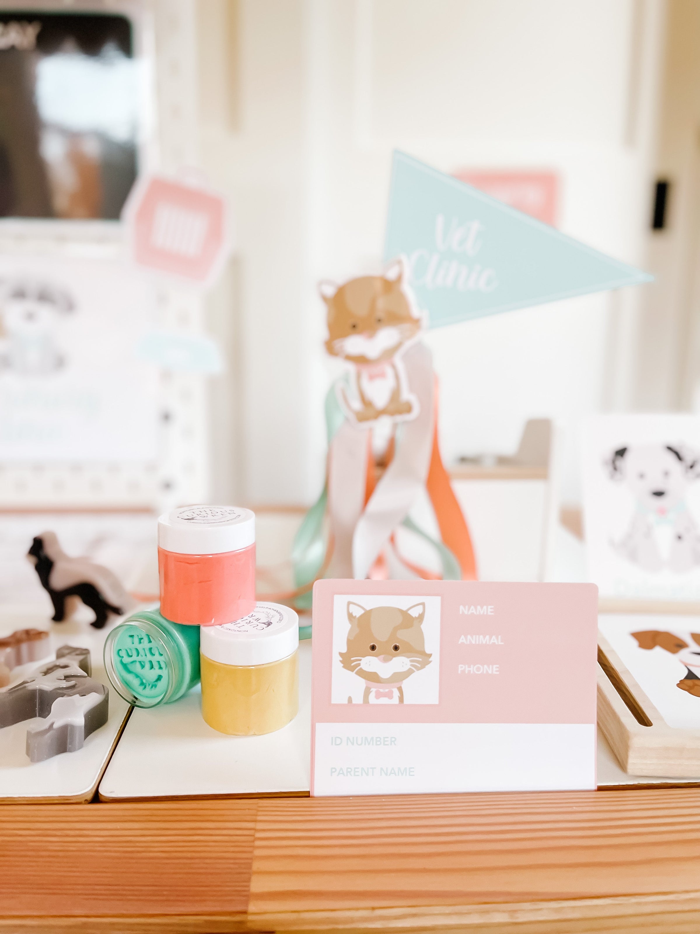 Vet Clinic Dramatic Play