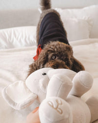 Ella Plushie