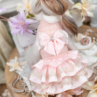 Luxury design high quality dog dress lace big bow