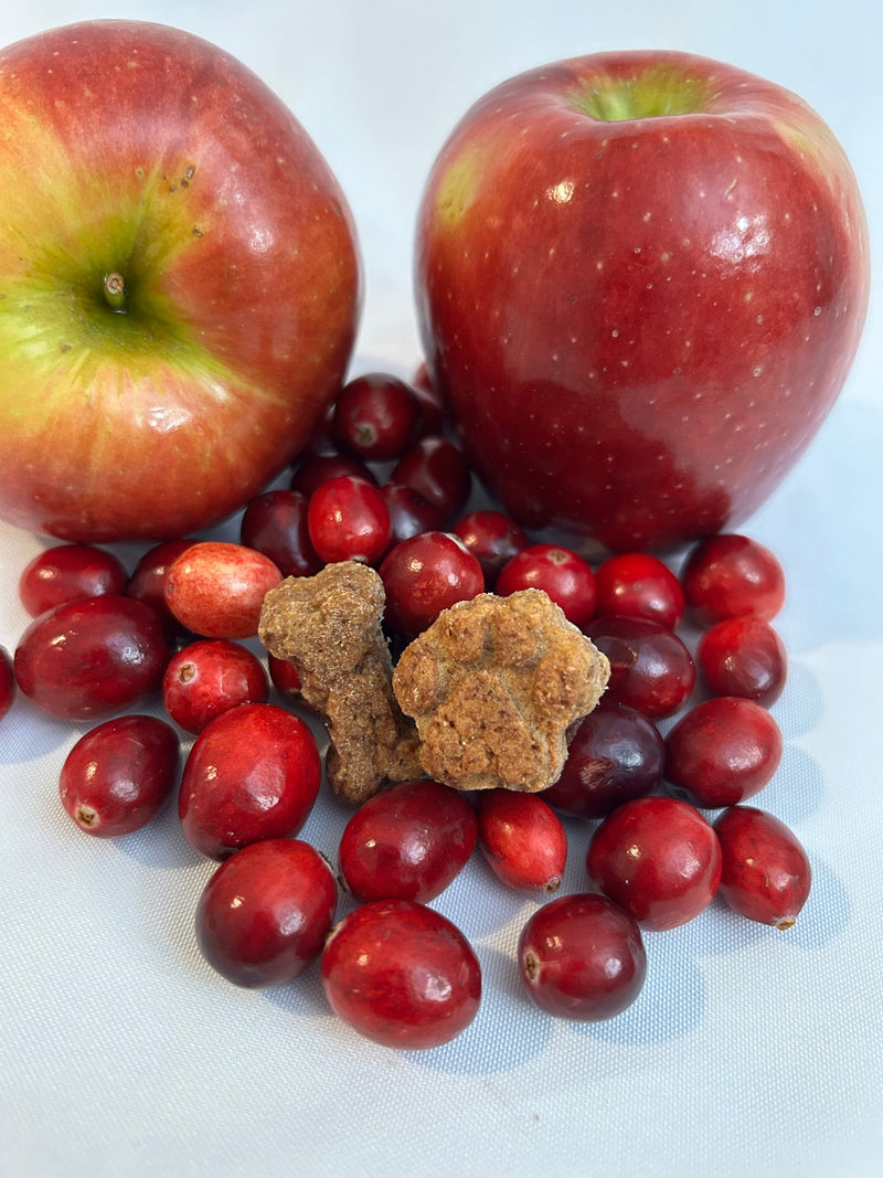 Lucy Loo Treats - Apple & Cranberry - (5 oz. Bag) - BIG FRENCHIES