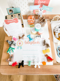 Pet Adoption Clinic Dramatic Play