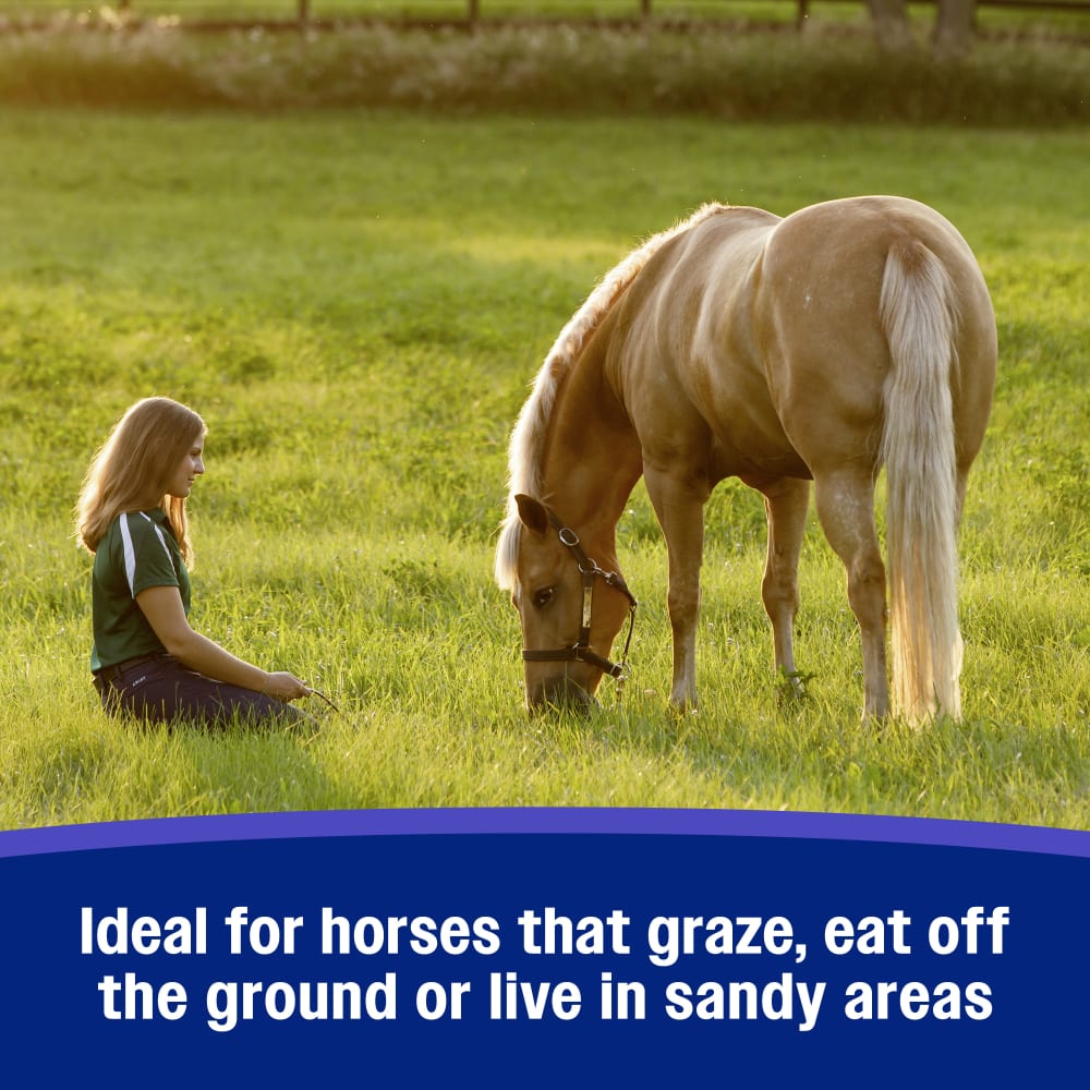 Farnam SandClear Psyllium Crumbles for Horses Digestive Support Sand Colic Risk 10 lbs.
