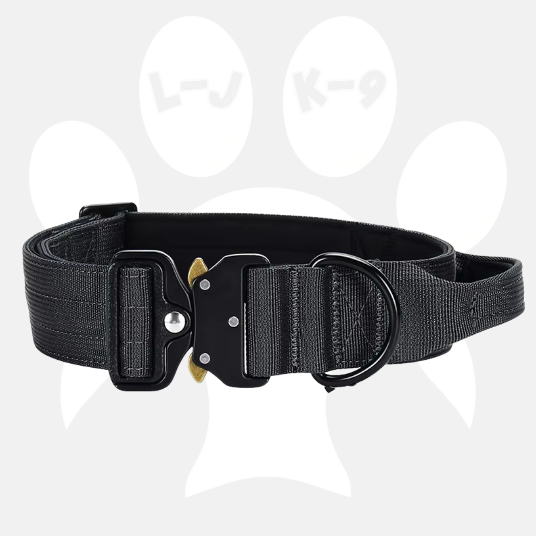 Luxury Sleek Padded Dog Collar