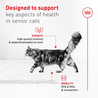 Senior Cat Wet Food 11+ Royal Canin Aging Thin Slices Gravy 3oz 12 Pack