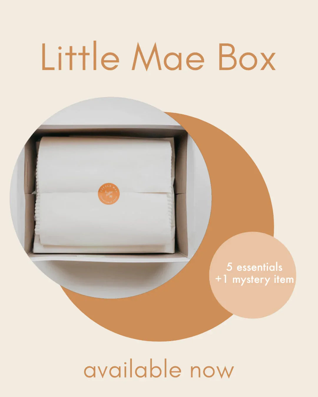LITTLE MAE BOX - BIG FRENCHIES