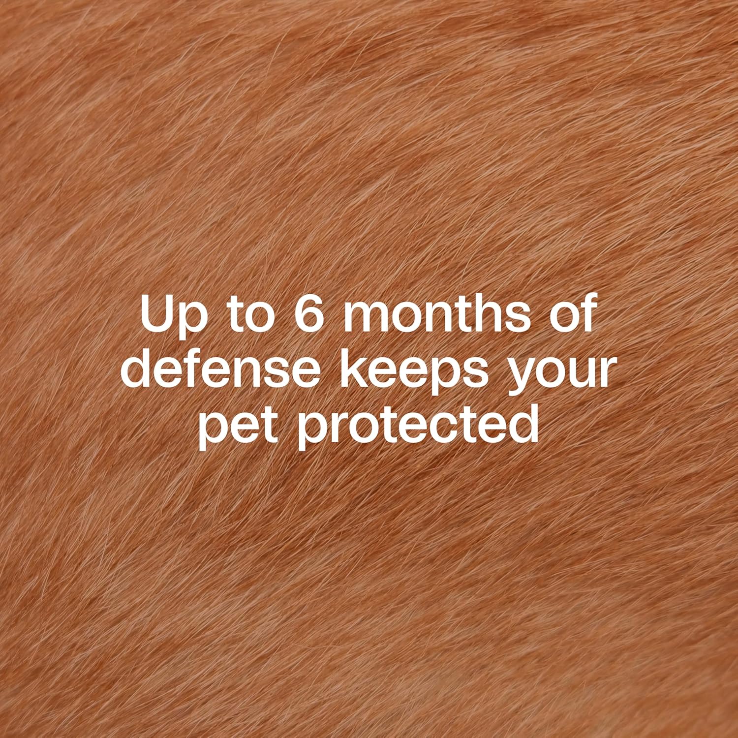 Adams Plus Flea & Tick Collar for Dogs & Puppies One Size Fits All 2-Count