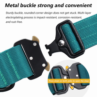 Luxury Sleek Padded Dog Collar