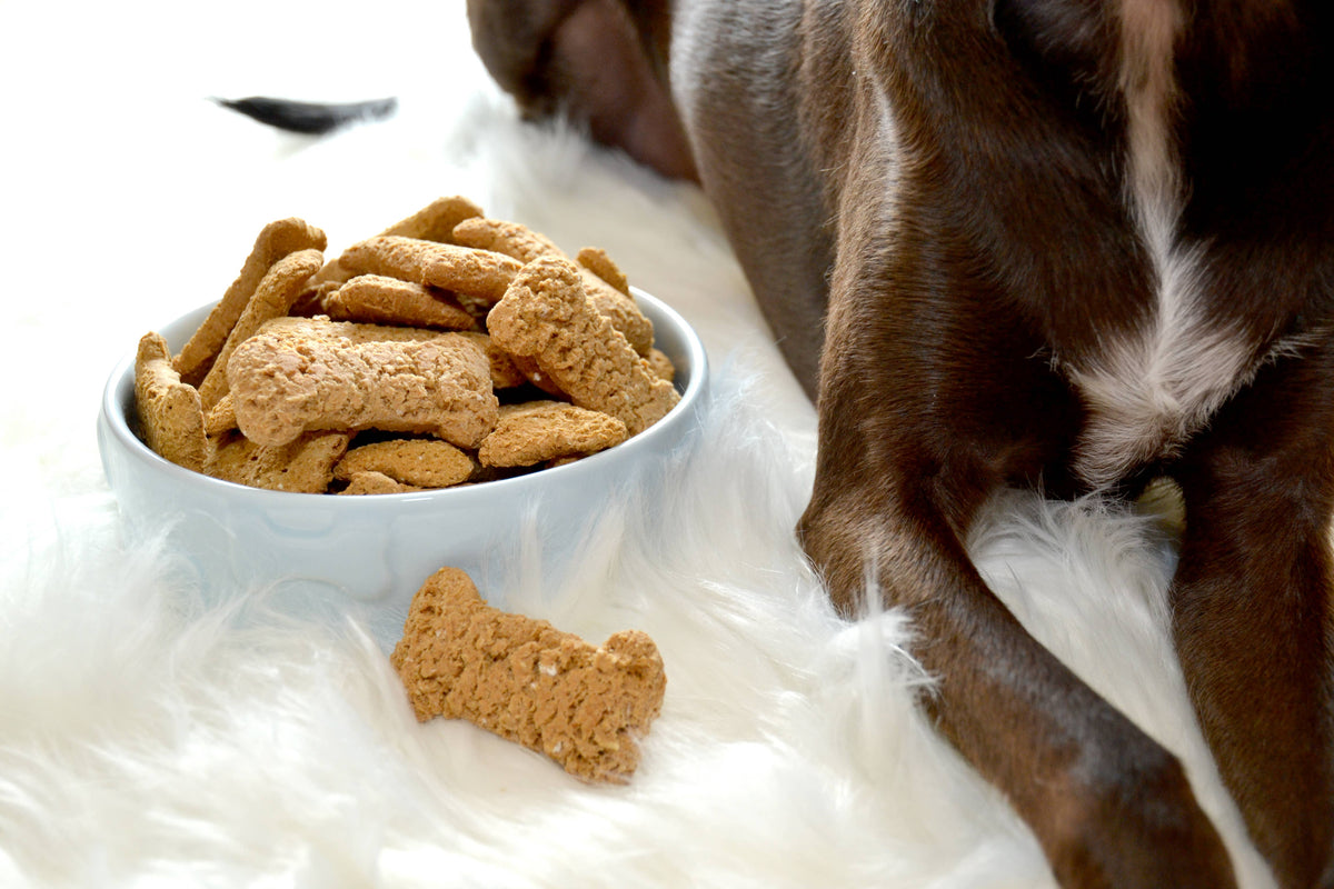 Delightfully Delicious Bulk Dog Treats