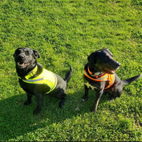 Lightweight Dog Vest M Size Mid-Back Coverage 26 in Chest x 21 in Neck