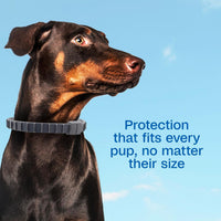 Adams Plus Flea & Tick Collar for Dogs & Puppies One Size Fits All 4-Count