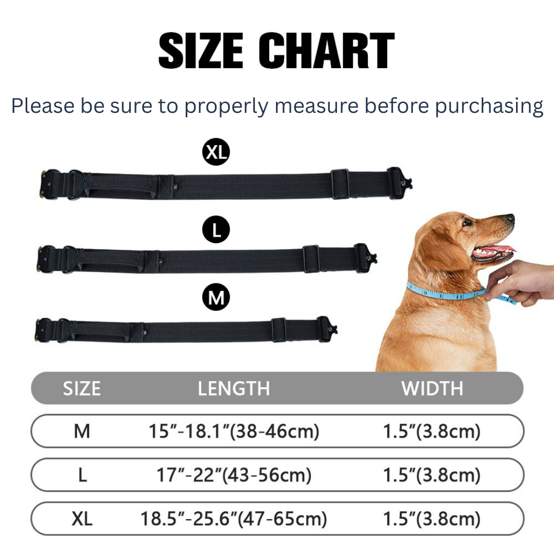 Luxury Sleek Padded Dog Collar