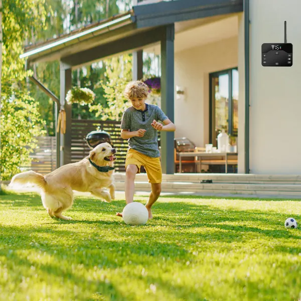 Wireless Electric Dog Fence Waterproof Pet Shock Boundary Containment System Electric Training Collar For Small Medium L