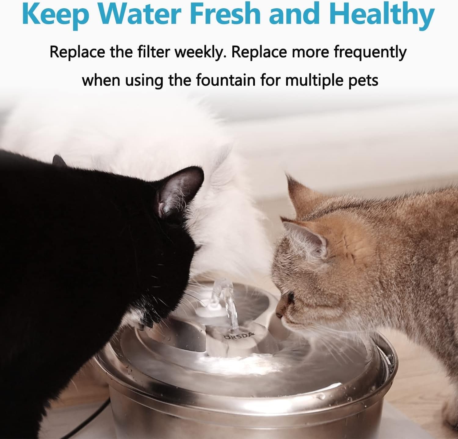 Cat Water Fountain filter - BIG FRENCHIES
