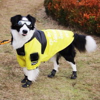 The Dog Face Windproof Waterproof Reflective Pet Cat Dog Jacket - BIG FRENCHIES