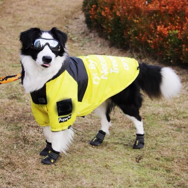 The Dog Face Windproof Waterproof Reflective Pet Cat Dog Jacket - BIG FRENCHIES