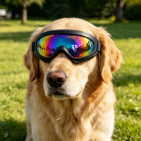 2 Pack Pet Protection Dog Sunglasses Pet Goggles Windproof Eye Wear Adjustable Dog Goggles (US Logistics only For USPS.T