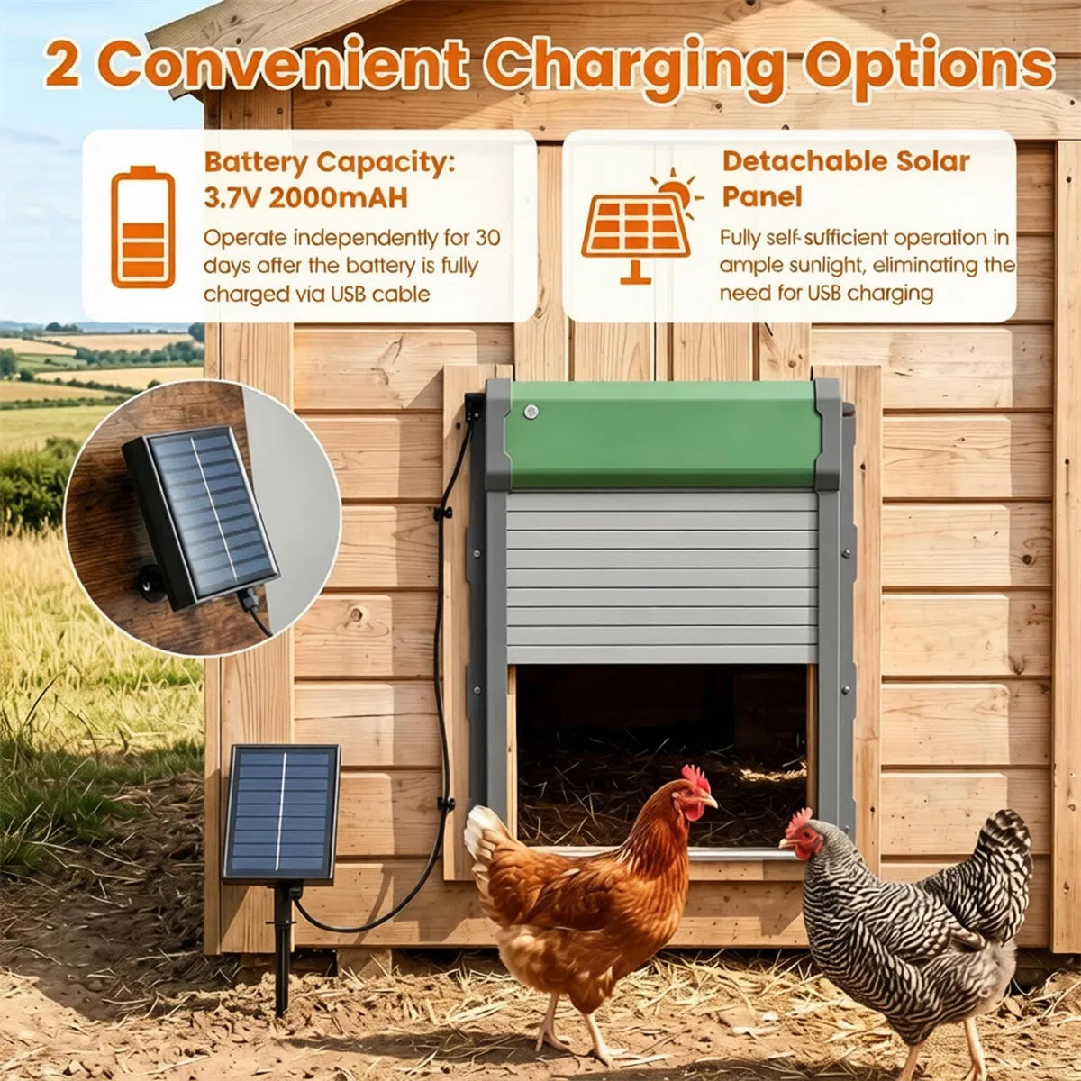 Solar Powered Automatic Chicken Coop Door with 4 Modes Light Sensor Timer Remote Control, Anti-Pinch Weatherproof Alumin