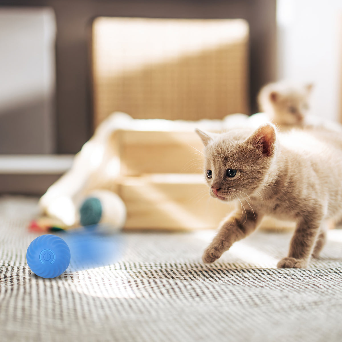 1Pc Cat Toys Ball Fast Rolling In Pouch Rechargeable Motion Activated Interactive Cat Toys For Indoor Cats Hide And Seek