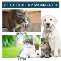 Pet Immune Oral Drops, Special Nutritional And Immune Health Drops For Cats And Dogs