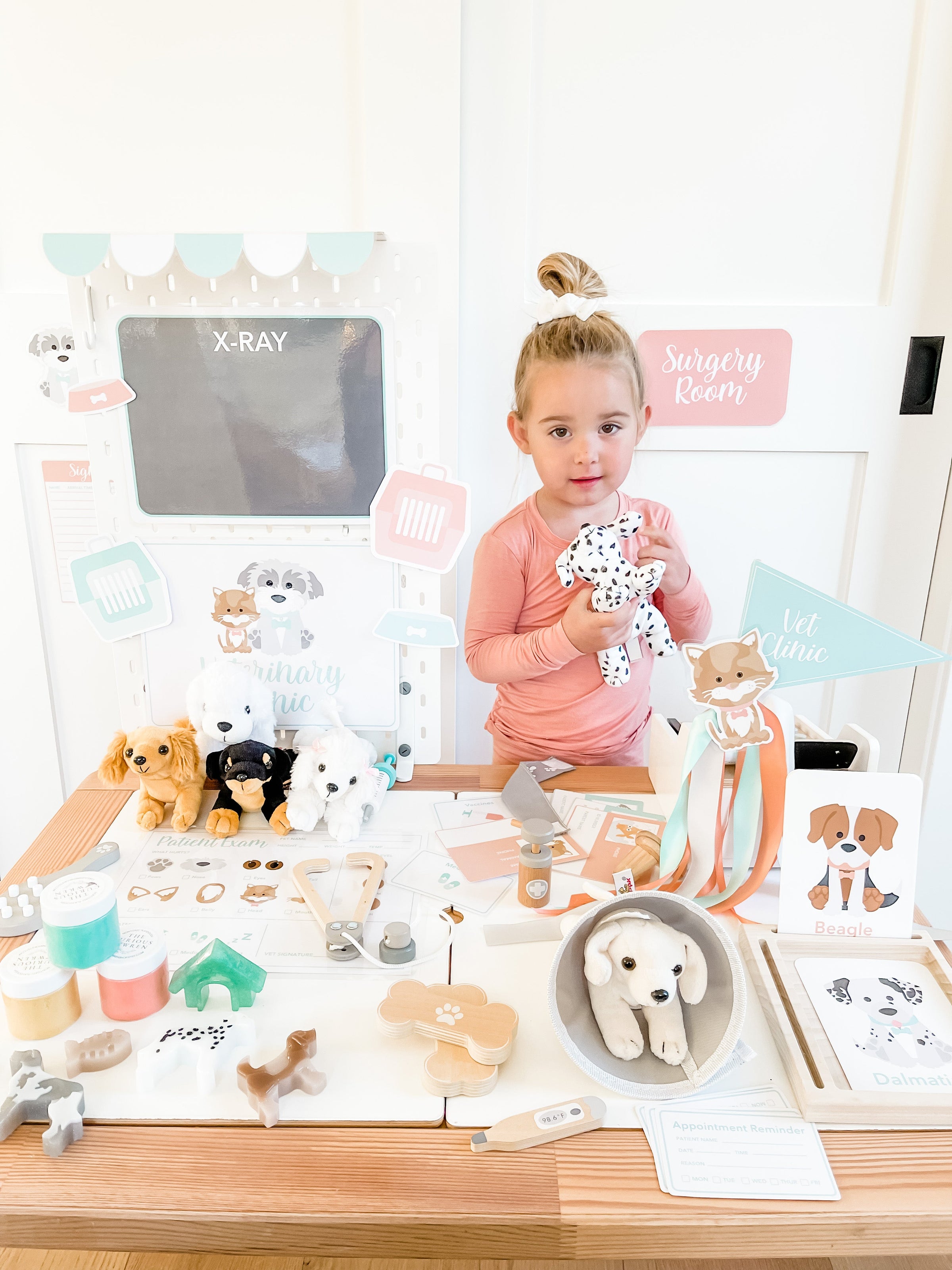 Vet Clinic Dramatic Play