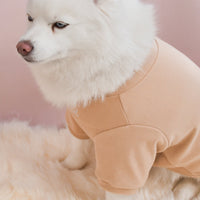 “Spoiled” Mock Neck Shirt - Miss U a Latte
