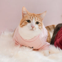 “Spoiled” Mock Neck Shirt - Cupid’s Blush