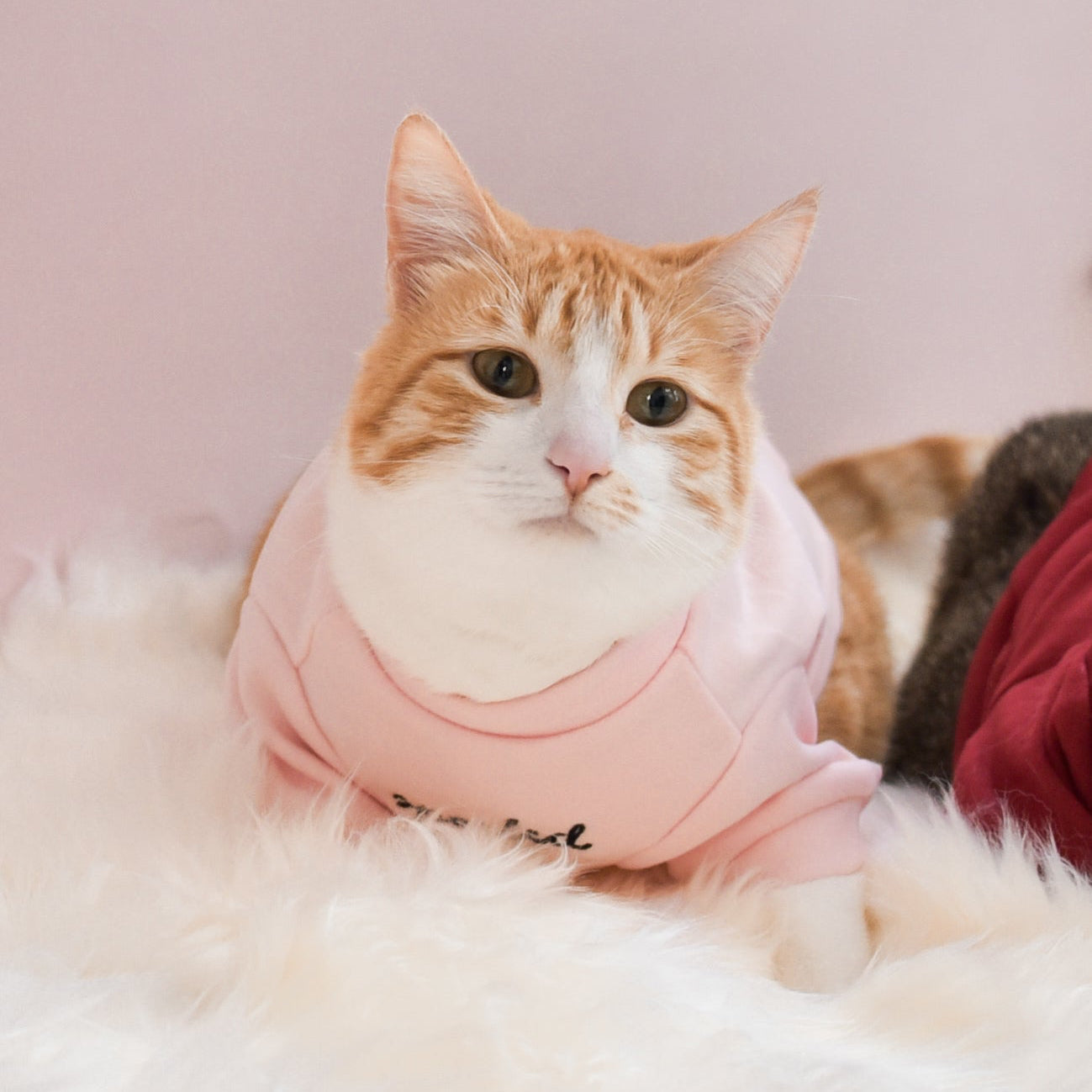 “Spoiled” Mock Neck Shirt - Cupid’s Blush