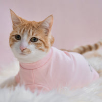 “Spoiled” Mock Neck Shirt - Cupid’s Blush