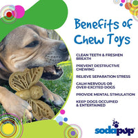 Butterfly Nylon Chew & Enrichment Toy | 2-in-1 for Aggressive Chewers | SodaPup - BIG FRENCHIES